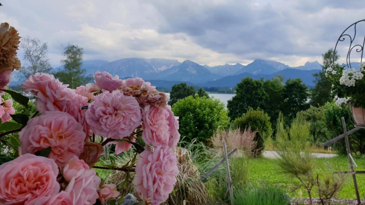 Landhaus Amberg Hopfen Am See // Hopfensee // Fuessen Εξωτερικό φωτογραφία
