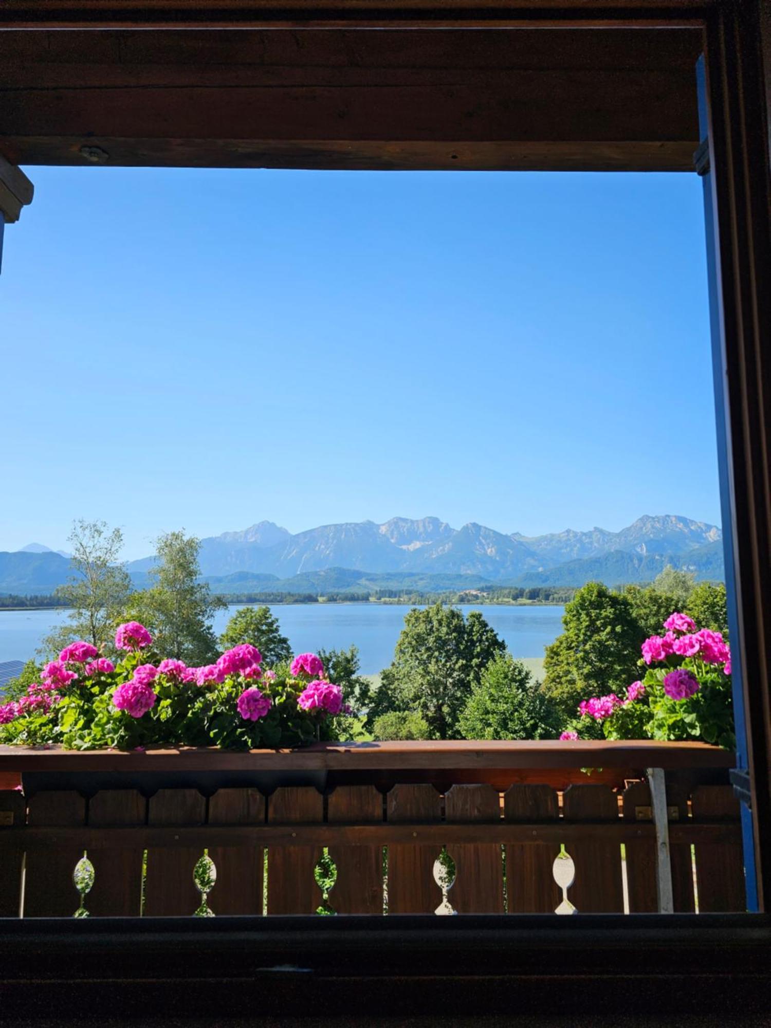 Landhaus Amberg Hopfen Am See // Hopfensee // Fuessen Εξωτερικό φωτογραφία
