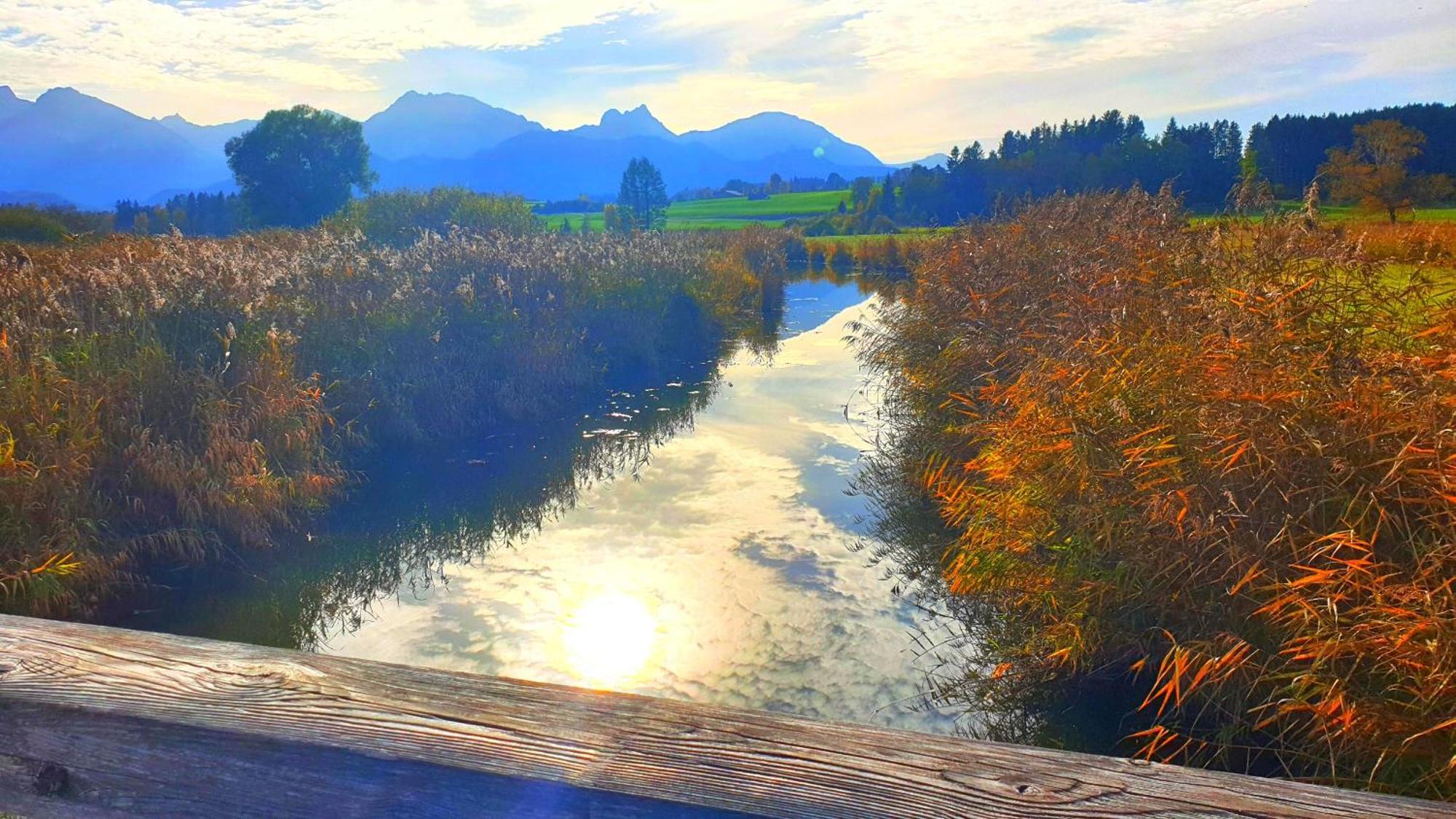 Landhaus Amberg Hopfen Am See // Hopfensee // Fuessen Εξωτερικό φωτογραφία