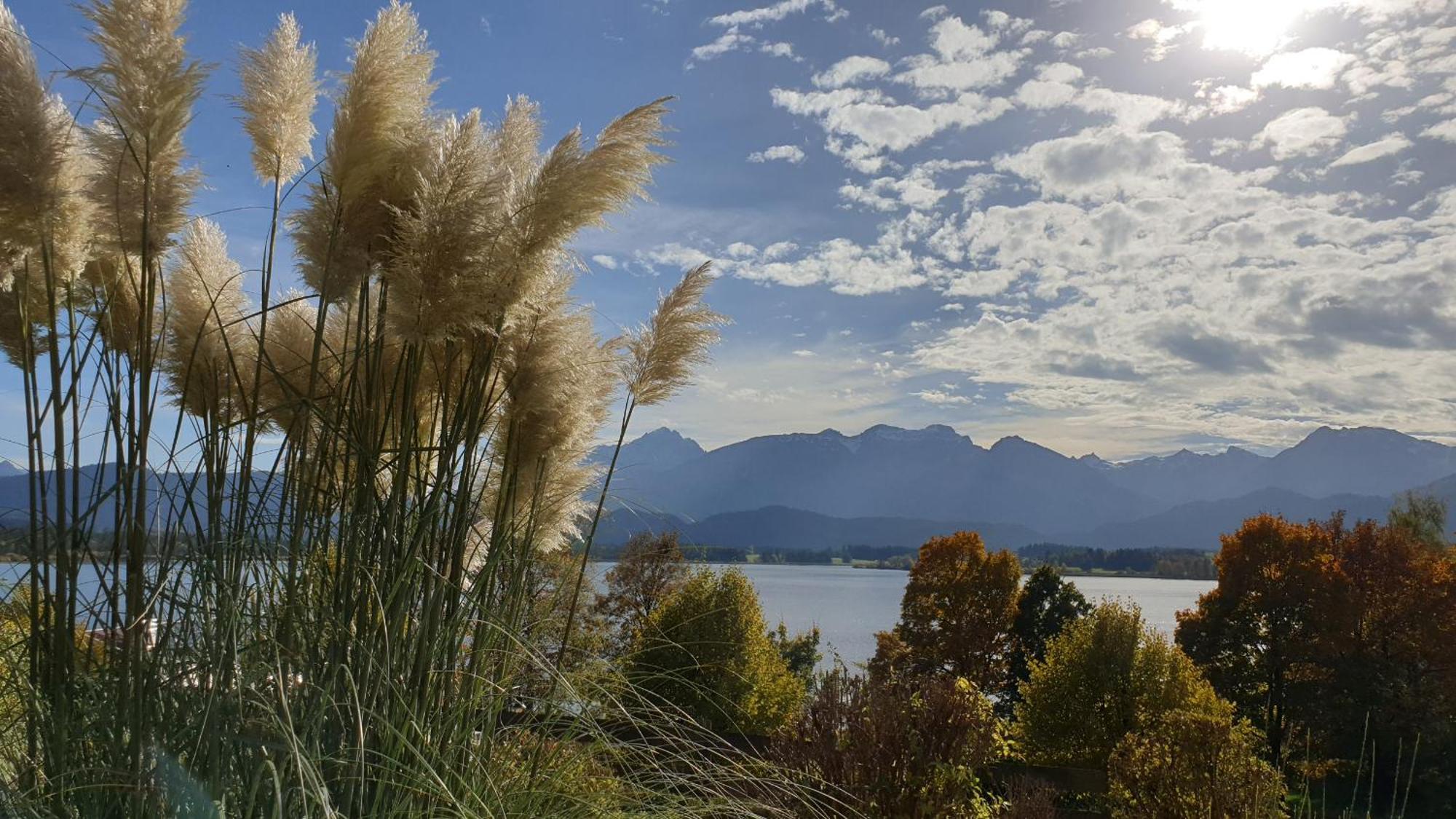 Landhaus Amberg Hopfen Am See // Hopfensee // Fuessen Εξωτερικό φωτογραφία