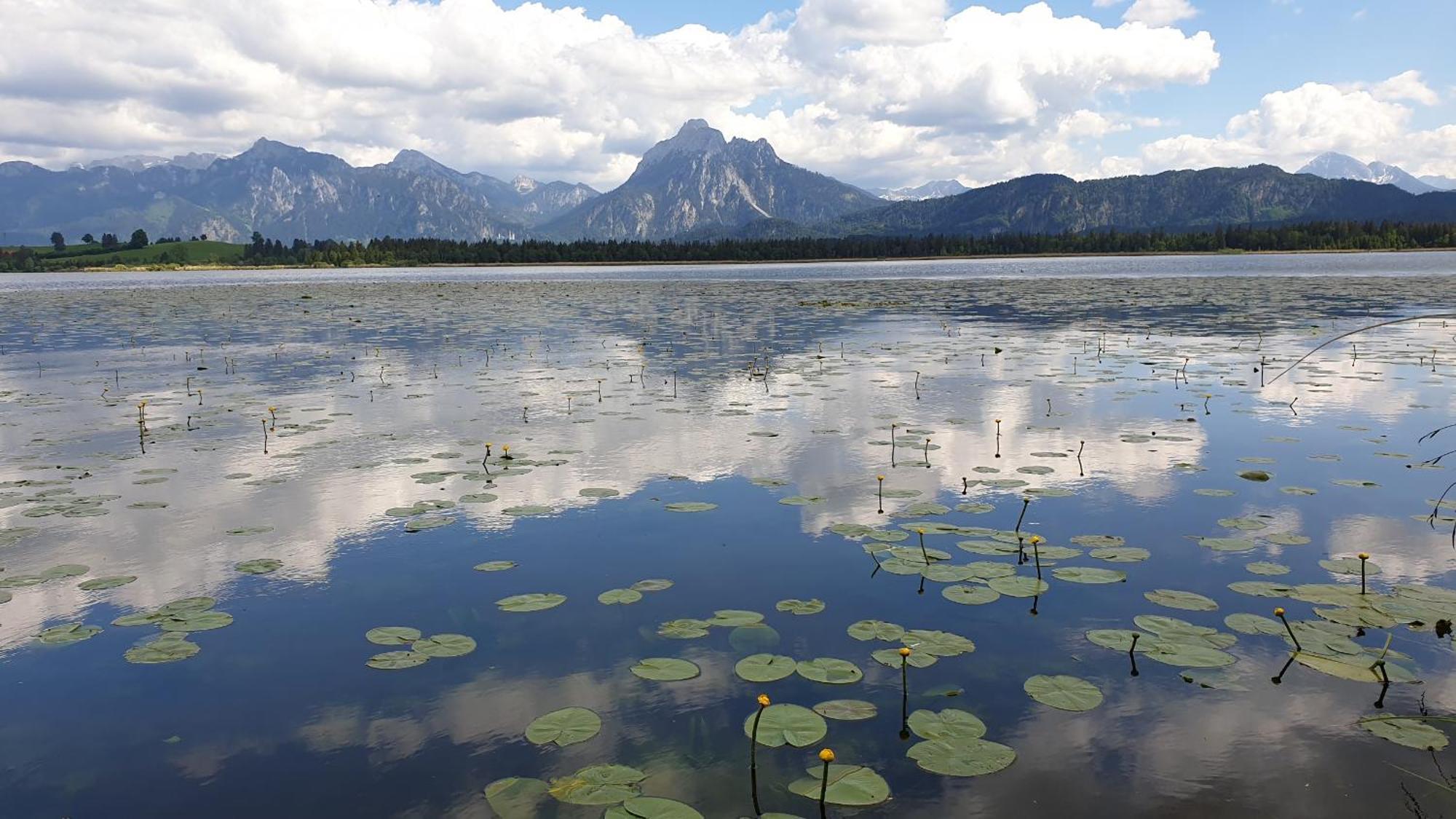 Landhaus Amberg Hopfen Am See // Hopfensee // Fuessen Εξωτερικό φωτογραφία
